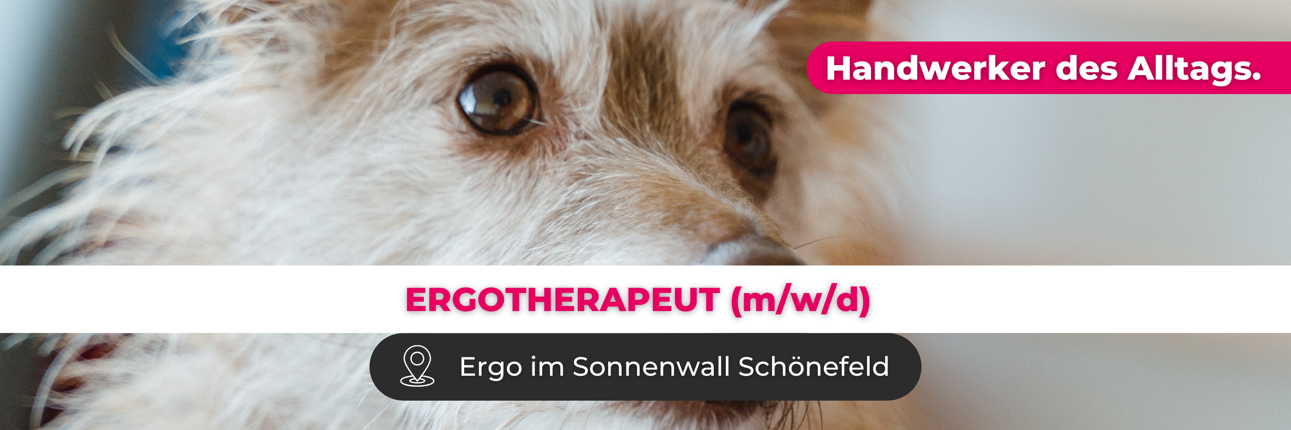 Beispiel Bild